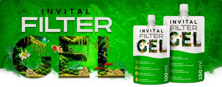 bakterie pro akvarijní filtrace